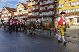 Appenzell, Appenzell Ausserrohden, Autumn, Fall, Herbst, Landwirtschaft, Schweiz, Sennen, Suisse, Switzerland, Tracht, Urnäsch, Viehschau, Wirtschaft, tradition