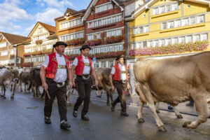 Appenzell, Appenzell Ausserrohden, Autumn, Fall, Herbst, Landwirtschaft, Schweiz, Sennen, Suisse, Switzerland, Tracht, Urnäsch, Viehschau, Wirtschaft, tradition