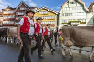 Appenzell, Appenzell Ausserrohden, Autumn, Fall, Herbst, Landwirtschaft, Schweiz, Sennen, Suisse, Switzerland, Tracht, Urnäsch, Viehschau, Wirtschaft, tradition