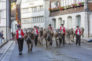 Appenzell, Appenzell Ausserrohden, Autumn, Fall, Herbst, Landwirtschaft, Schweiz, Sennen, Suisse, Switzerland, Tracht, Urnäsch, Viehschau, Wirtschaft, tradition