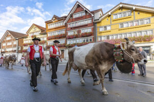 Appenzell, Appenzell Ausserrohden, Autumn, Fall, Herbst, Landwirtschaft, Schweiz, Sennen, Suisse, Switzerland, Tracht, Urnäsch, Viehschau, Wirtschaft, tradition