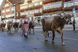 Appenzell, Appenzell Ausserrohden, Autumn, Fall, Herbst, Landwirtschaft, Schweiz, Sennen, Suisse, Switzerland, Tracht, Urnäsch, Viehschau, Wirtschaft, tradition