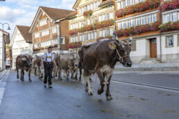 Appenzell, Appenzell Ausserrohden, Autumn, Fall, Herbst, Landwirtschaft, Schweiz, Sennen, Suisse, Switzerland, Tracht, Urnäsch, Viehschau, Wirtschaft, tradition