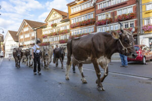 Appenzell, Appenzell Ausserrohden, Autumn, Fall, Herbst, Landwirtschaft, Schweiz, Sennen, Suisse, Switzerland, Tracht, Urnäsch, Viehschau, Wirtschaft, tradition