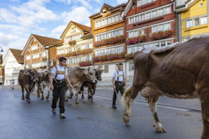 Appenzell, Appenzell Ausserrohden, Autumn, Fall, Herbst, Landwirtschaft, Schweiz, Sennen, Suisse, Switzerland, Tracht, Urnäsch, Viehschau, Wirtschaft, tradition