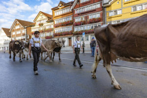Appenzell, Appenzell Ausserrohden, Autumn, Fall, Herbst, Landwirtschaft, Schweiz, Sennen, Suisse, Switzerland, Tracht, Urnäsch, Viehschau, Wirtschaft, tradition