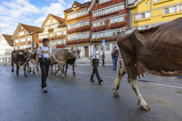 Appenzell, Appenzell Ausserrohden, Autumn, Fall, Herbst, Landwirtschaft, Schweiz, Sennen, Suisse, Switzerland, Tracht, Urnäsch, Viehschau, Wirtschaft, tradition