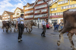 Appenzell, Appenzell Ausserrohden, Autumn, Fall, Herbst, Landwirtschaft, Schweiz, Sennen, Suisse, Switzerland, Tracht, Urnäsch, Viehschau, Wirtschaft, tradition