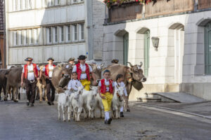 Appenzell, Appenzell Ausserrohden, Autumn, Fall, Herbst, Landwirtschaft, Schweiz, Sennen, Suisse, Switzerland, Tracht, Urnäsch, Viehschau, Wirtschaft, tradition