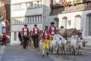 Appenzell, Appenzell Ausserrohden, Autumn, Fall, Herbst, Landwirtschaft, Schweiz, Sennen, Suisse, Switzerland, Tracht, Urnäsch, Viehschau, Wirtschaft, tradition