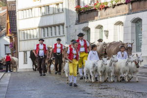 Appenzell, Appenzell Ausserrohden, Autumn, Fall, Herbst, Landwirtschaft, Schweiz, Sennen, Suisse, Switzerland, Tracht, Urnäsch, Viehschau, Wirtschaft, tradition