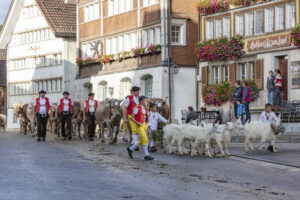 Appenzell, Appenzell Ausserrohden, Autumn, Fall, Herbst, Landwirtschaft, Schweiz, Sennen, Suisse, Switzerland, Tracht, Urnäsch, Viehschau, Wirtschaft, tradition