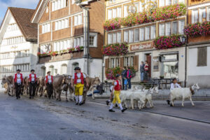 Appenzell, Appenzell Ausserrohden, Autumn, Fall, Herbst, Landwirtschaft, Schweiz, Sennen, Suisse, Switzerland, Tracht, Urnäsch, Viehschau, Wirtschaft, tradition