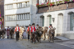 Appenzell, Appenzell Ausserrohden, Autumn, Fall, Herbst, Landwirtschaft, Schweiz, Sennen, Suisse, Switzerland, Tracht, Urnäsch, Viehschau, Wirtschaft, tradition