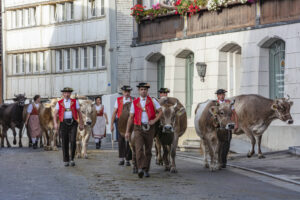Appenzell, Appenzell Ausserrohden, Autumn, Fall, Herbst, Landwirtschaft, Schweiz, Sennen, Suisse, Switzerland, Tracht, Urnäsch, Viehschau, Wirtschaft, tradition
