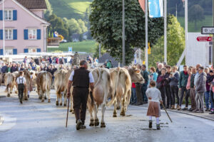 Appenzell, Appenzell Ausserrohden, Autumn, Fall, Herbst, Landwirtschaft, Schweiz, Sennen, Suisse, Switzerland, Tracht, Urnäsch, Viehschau, Wirtschaft, tradition