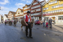 Appenzell, Appenzell Ausserrohden, Autumn, Fall, Herbst, Landwirtschaft, Schweiz, Sennen, Suisse, Switzerland, Tracht, Urnäsch, Viehschau, Wirtschaft, tradition