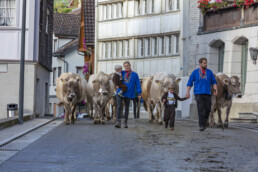 Appenzell, Appenzell Ausserrohden, Autumn, Fall, Herbst, Landwirtschaft, Schweiz, Sennen, Suisse, Switzerland, Tracht, Urnäsch, Viehschau, Wirtschaft, tradition