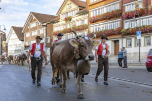 Appenzell, Appenzell Ausserrohden, Autumn, Fall, Herbst, Landwirtschaft, Schweiz, Sennen, Suisse, Switzerland, Tracht, Urnäsch, Viehschau, Wirtschaft, tradition