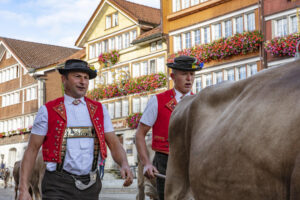 Appenzell, Appenzell Ausserrohden, Autumn, Fall, Herbst, Landwirtschaft, Schweiz, Sennen, Suisse, Switzerland, Tracht, Urnäsch, Viehschau, Wirtschaft, tradition