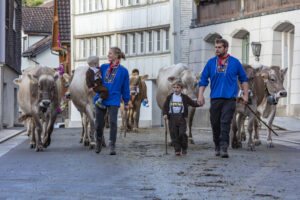 Appenzell, Appenzell Ausserrohden, Autumn, Fall, Herbst, Landwirtschaft, Schweiz, Sennen, Suisse, Switzerland, Tracht, Urnäsch, Viehschau, Wirtschaft, tradition