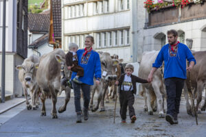 Appenzell, Appenzell Ausserrohden, Autumn, Fall, Herbst, Landwirtschaft, Schweiz, Sennen, Suisse, Switzerland, Tracht, Urnäsch, Viehschau, Wirtschaft, tradition