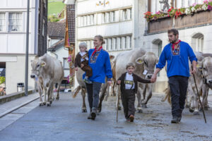 Appenzell, Appenzell Ausserrohden, Autumn, Fall, Herbst, Landwirtschaft, Schweiz, Sennen, Suisse, Switzerland, Tracht, Urnäsch, Viehschau, Wirtschaft, tradition