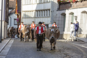 Appenzell, Appenzell Ausserrohden, Autumn, Fall, Herbst, Landwirtschaft, Schweiz, Sennen, Suisse, Switzerland, Tracht, Urnäsch, Viehschau, Wirtschaft, tradition