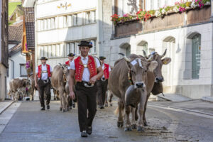 Appenzell, Appenzell Ausserrohden, Autumn, Fall, Herbst, Landwirtschaft, Schweiz, Sennen, Suisse, Switzerland, Tracht, Urnäsch, Viehschau, Wirtschaft, tradition