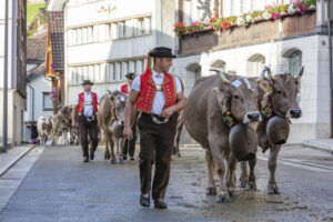 Appenzell, Appenzell Ausserrohden, Autumn, Fall, Herbst, Landwirtschaft, Schweiz, Sennen, Suisse, Switzerland, Tracht, Urnäsch, Viehschau, Wirtschaft, tradition
