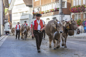 Appenzell, Appenzell Ausserrohden, Autumn, Fall, Herbst, Landwirtschaft, Schweiz, Sennen, Suisse, Switzerland, Tracht, Urnäsch, Viehschau, Wirtschaft, tradition