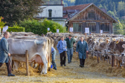 Appenzell, Appenzell Ausserrohden, Autumn, Fall, Herbst, Landwirtschaft, Schweiz, Sennen, Suisse, Switzerland, Tracht, Urnäsch, Viehschau, Wirtschaft, tradition