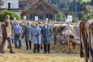 Appenzell, Appenzell Ausserrohden, Autumn, Fall, Herbst, Landwirtschaft, Schweiz, Sennen, Suisse, Switzerland, Tracht, Urnäsch, Viehschau, Wirtschaft, tradition