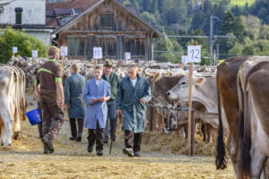 Appenzell, Appenzell Ausserrohden, Autumn, Fall, Herbst, Landwirtschaft, Schweiz, Sennen, Suisse, Switzerland, Tracht, Urnäsch, Viehschau, Wirtschaft, tradition