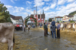 Appenzell, Appenzell Ausserrohden, Autumn, Fall, Herbst, Landwirtschaft, Schweiz, Sennen, Suisse, Switzerland, Tracht, Urnäsch, Viehschau, Wirtschaft, tradition
