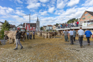 Appenzell, Appenzell Ausserrohden, Autumn, Fall, Herbst, Landwirtschaft, Schweiz, Sennen, Suisse, Switzerland, Tracht, Urnäsch, Viehschau, Wirtschaft, tradition