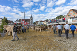 Appenzell, Appenzell Ausserrohden, Autumn, Fall, Herbst, Landwirtschaft, Schweiz, Sennen, Suisse, Switzerland, Tracht, Urnäsch, Viehschau, Wirtschaft, tradition