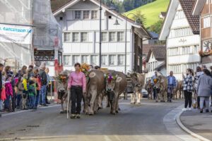 Appenzell, Appenzell Ausserrohden, Autumn, Fall, Herbst, Landwirtschaft, Schweiz, Sennen, Suisse, Switzerland, Tracht, Urnäsch, Viehschau, Wirtschaft, tradition