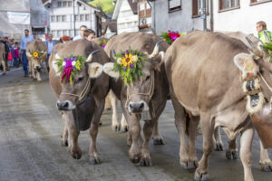 Appenzell, Appenzell Ausserrohden, Autumn, Fall, Herbst, Landwirtschaft, Schweiz, Sennen, Suisse, Switzerland, Tracht, Urnäsch, Viehschau, Wirtschaft, tradition