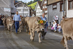 Appenzell, Appenzell Ausserrohden, Autumn, Fall, Herbst, Landwirtschaft, Schweiz, Sennen, Suisse, Switzerland, Tracht, Urnäsch, Viehschau, Wirtschaft, tradition