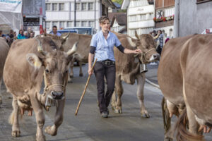Appenzell, Appenzell Ausserrohden, Autumn, Fall, Herbst, Landwirtschaft, Schweiz, Sennen, Suisse, Switzerland, Tracht, Urnäsch, Viehschau, Wirtschaft, tradition