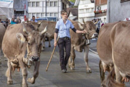 Appenzell, Appenzell Ausserrohden, Autumn, Fall, Herbst, Landwirtschaft, Schweiz, Sennen, Suisse, Switzerland, Tracht, Urnäsch, Viehschau, Wirtschaft, tradition