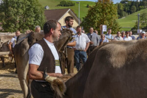 Appenzell, Appenzell Ausserrohden, Autumn, Fall, Herbst, Landwirtschaft, Schweiz, Sennen, Suisse, Switzerland, Tracht, Urnäsch, Viehschau, Wirtschaft, tradition