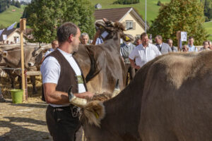 Appenzell, Appenzell Ausserrohden, Autumn, Fall, Herbst, Landwirtschaft, Schweiz, Sennen, Suisse, Switzerland, Tracht, Urnäsch, Viehschau, Wirtschaft, tradition