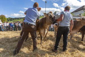 Appenzell, Appenzell Ausserrohden, Autumn, Fall, Herbst, Landwirtschaft, Schweiz, Sennen, Suisse, Switzerland, Tracht, Urnäsch, Viehschau, Wirtschaft, tradition