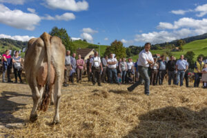 Appenzell, Appenzell Ausserrohden, Autumn, Fall, Herbst, Landwirtschaft, Schweiz, Sennen, Suisse, Switzerland, Tracht, Urnäsch, Viehschau, Wirtschaft, tradition