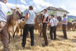 Appenzell, Appenzell Ausserrohden, Autumn, Fall, Herbst, Landwirtschaft, Schweiz, Sennen, Suisse, Switzerland, Tracht, Urnäsch, Viehschau, Wirtschaft, tradition