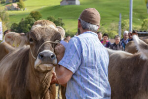 Appenzell, Appenzell Ausserrohden, Autumn, Fall, Herbst, Landwirtschaft, Schweiz, Sennen, Suisse, Switzerland, Tracht, Urnäsch, Viehschau, Wirtschaft, tradition