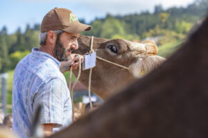 Appenzell, Appenzell Ausserrohden, Autumn, Fall, Herbst, Landwirtschaft, Schweiz, Sennen, Suisse, Switzerland, Tracht, Urnäsch, Viehschau, Wirtschaft, tradition
