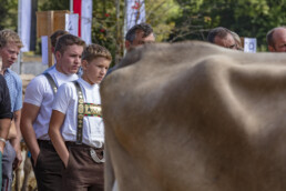 Appenzell, Appenzell Ausserrohden, Autumn, Fall, Herbst, Landwirtschaft, Schweiz, Sennen, Suisse, Switzerland, Tracht, Urnäsch, Viehschau, Wirtschaft, tradition